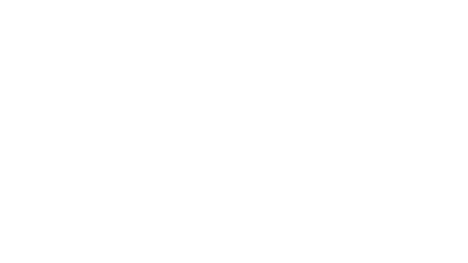 Festiva FM Logo